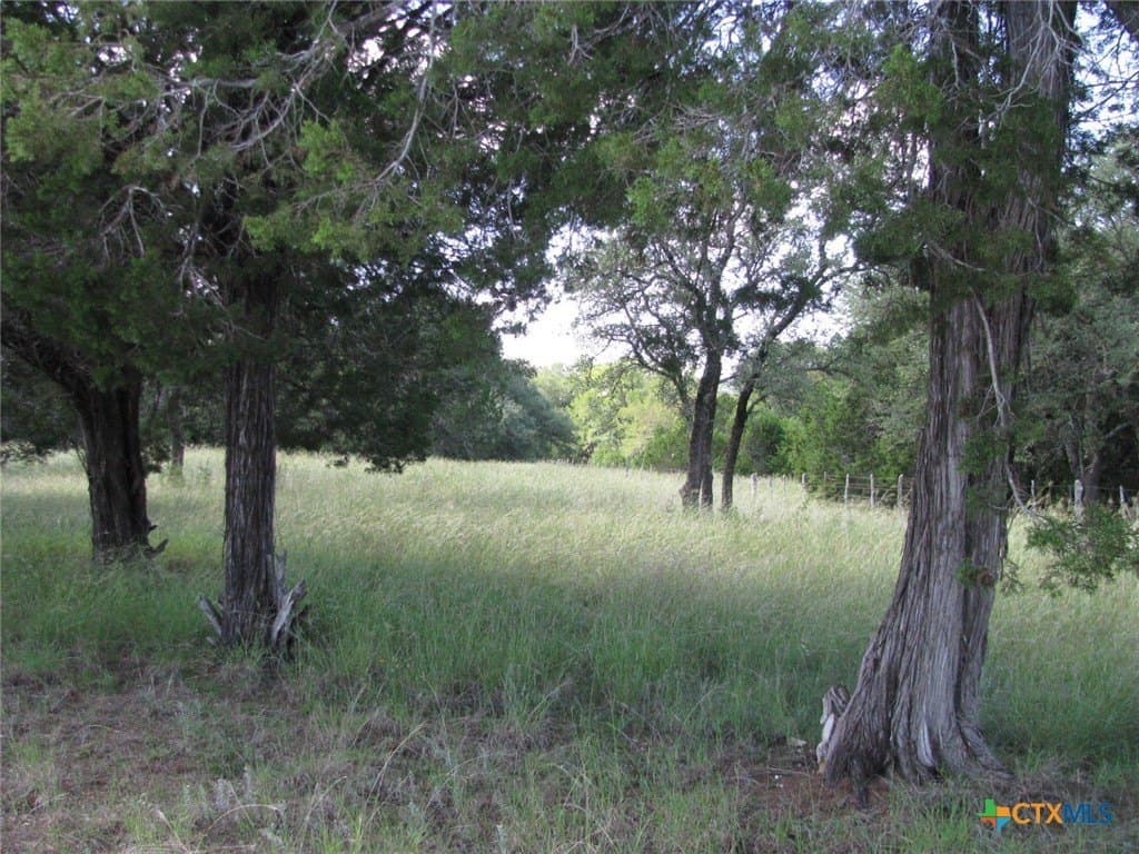 62.14 acres in Coryell County - photo 23