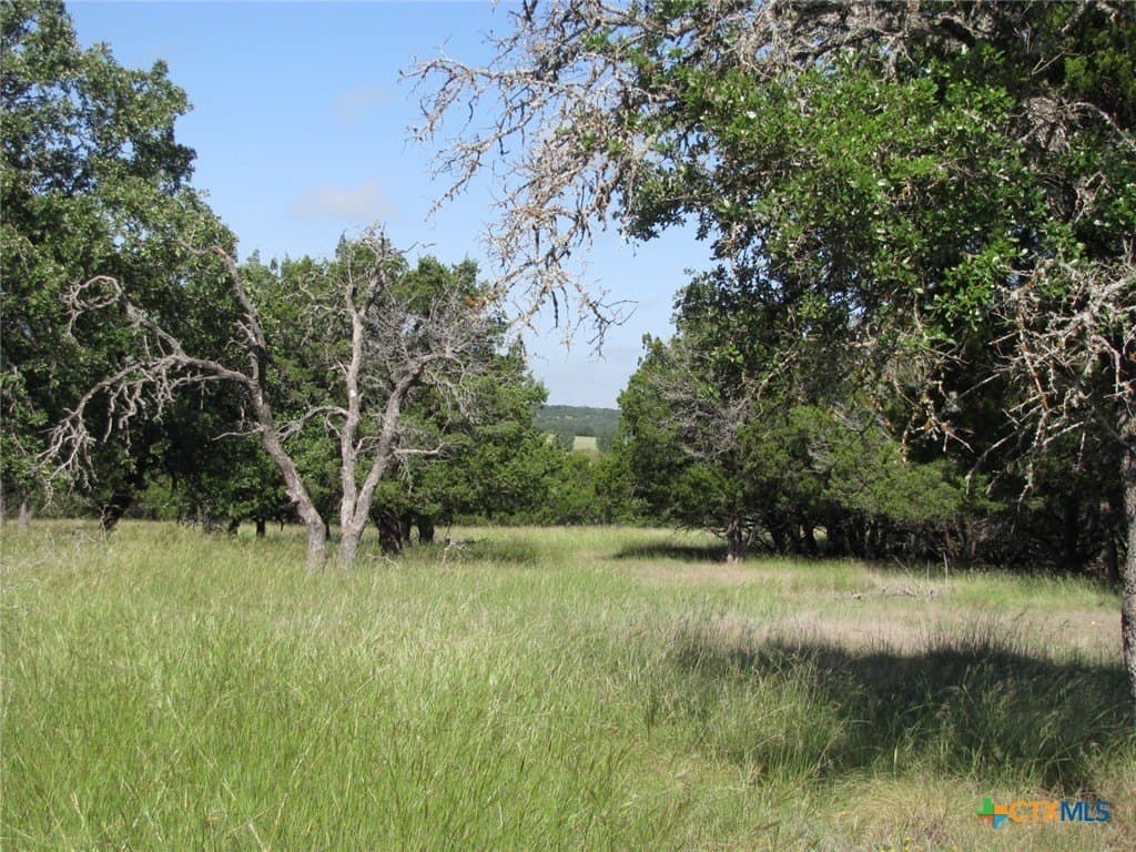 62.14 acres in Coryell County - photo 30