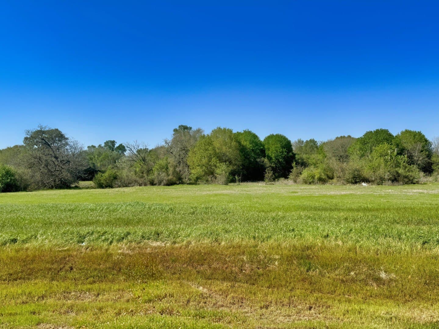 10283 Panther Creek Drive