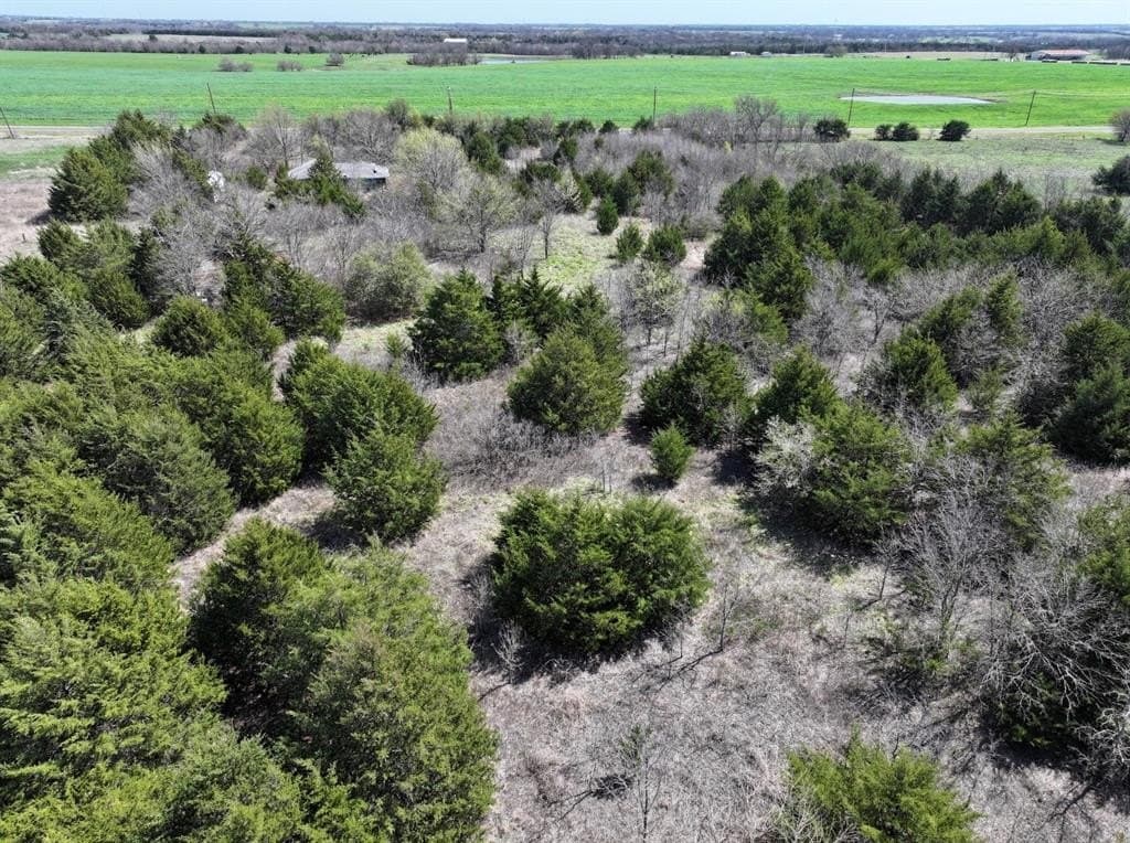 10.07 acres in Fannin County - photo 3