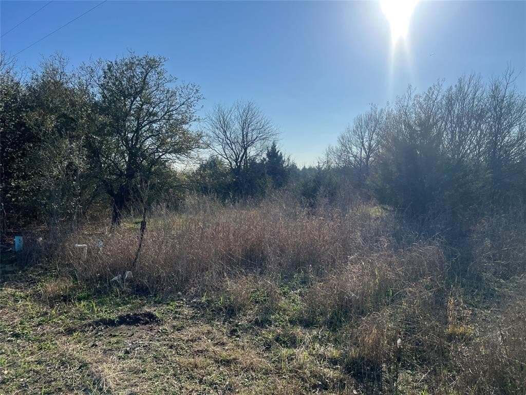 10.07 acres in Fannin County - photo 7