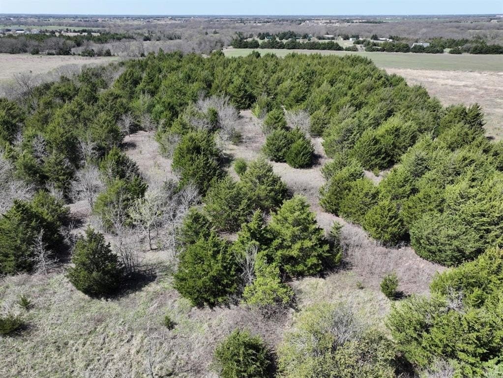 10.07 acres in Fannin County - photo 5