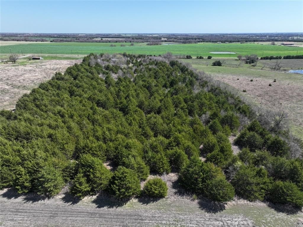 10.07 acres in Fannin County - photo 2