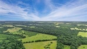 493.52 acres in Rains County - photo 30