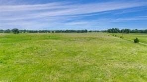 493.52 acres in Rains County - photo 11