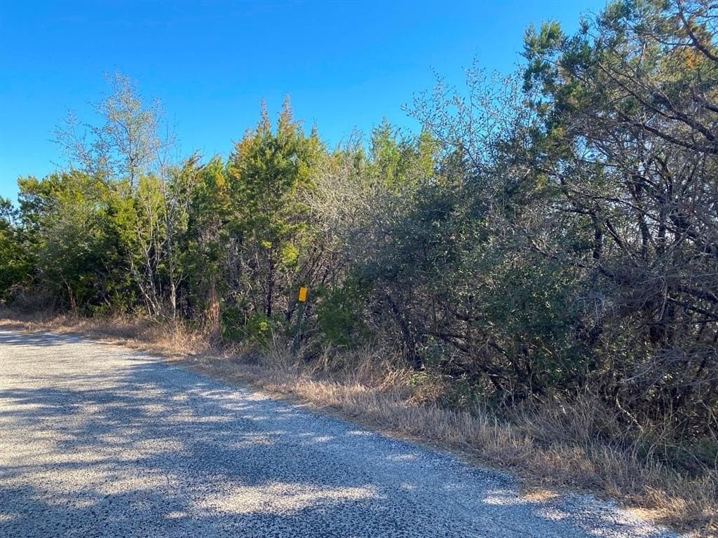 0.07 acres in Hood County - photo 25