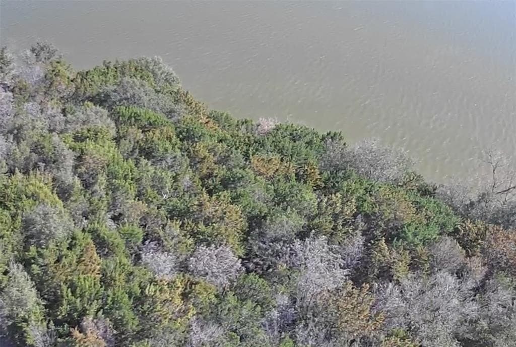 0.07 acres in Hood County - photo 18