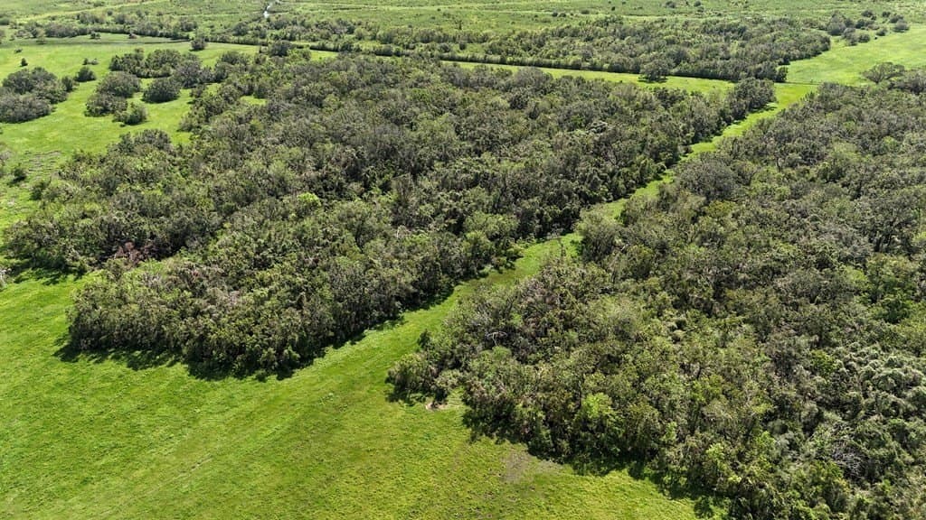 111 acres in Texas County - photo 16