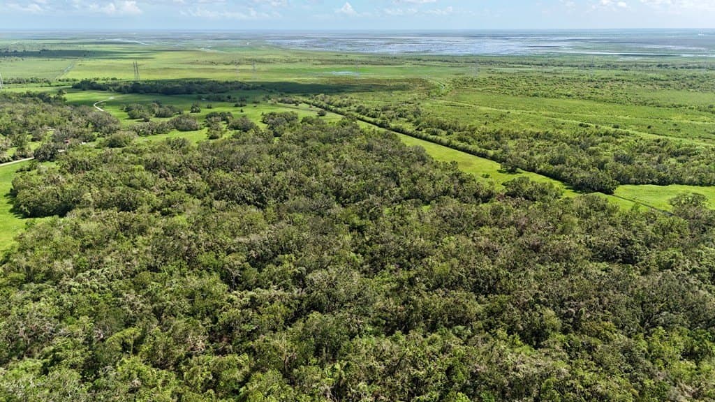 111 acres in Texas County - photo 18