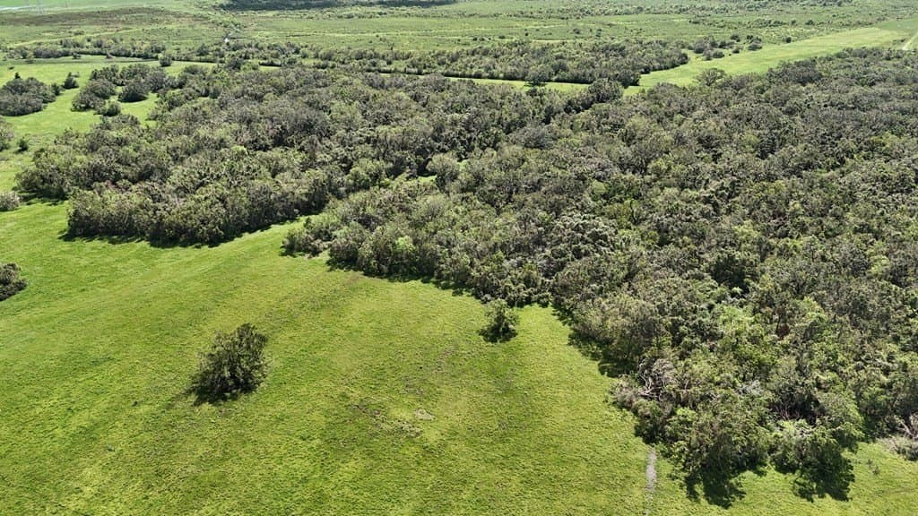 111 acres in Texas County - photo 14