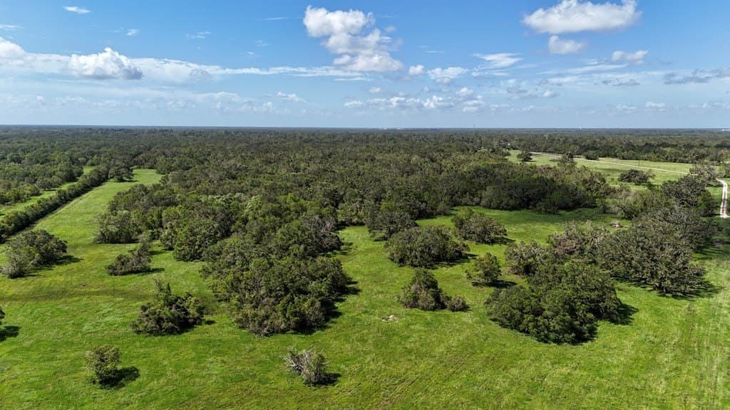 111 acres in Texas County - photo 13