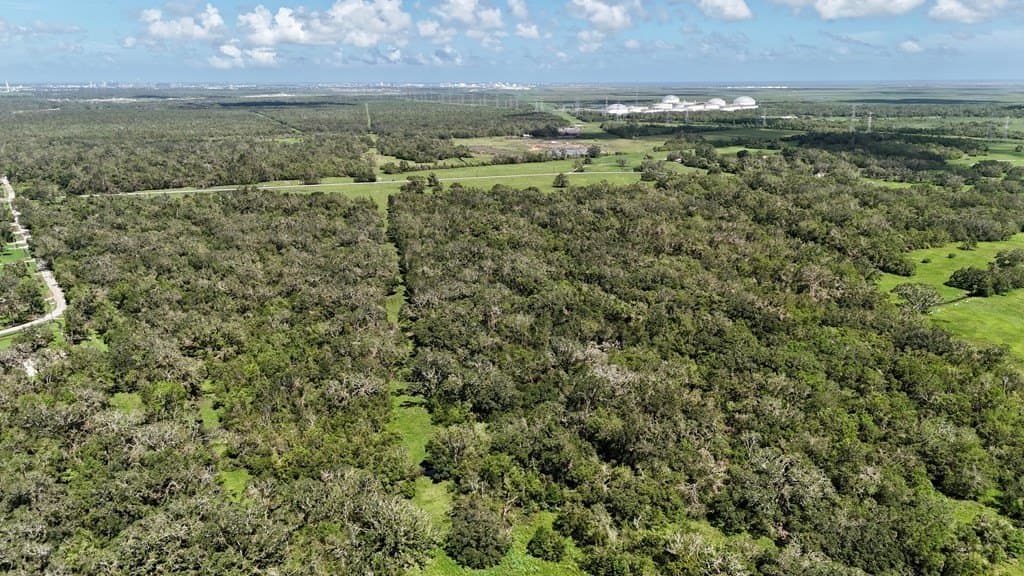 111 acres in Texas County - photo 17