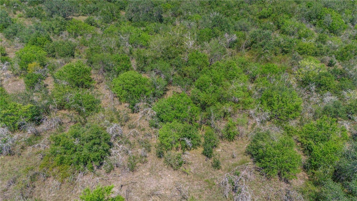 33.18 acres in DeWitt County - photo 11