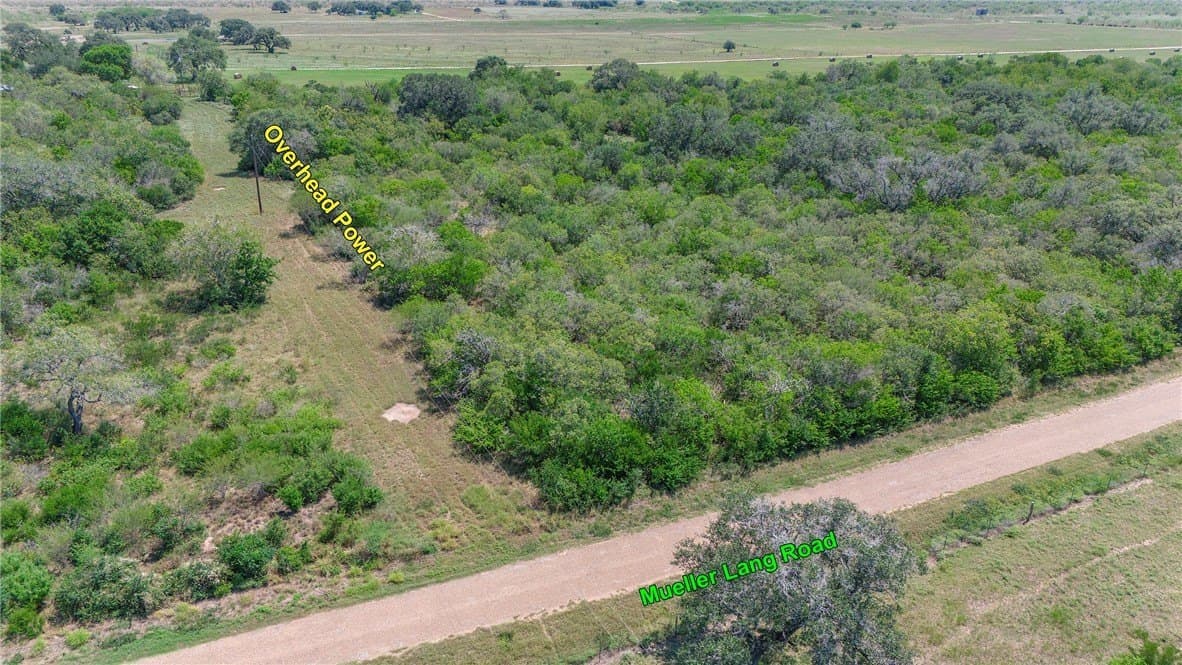 33.18 acres in DeWitt County - photo 13