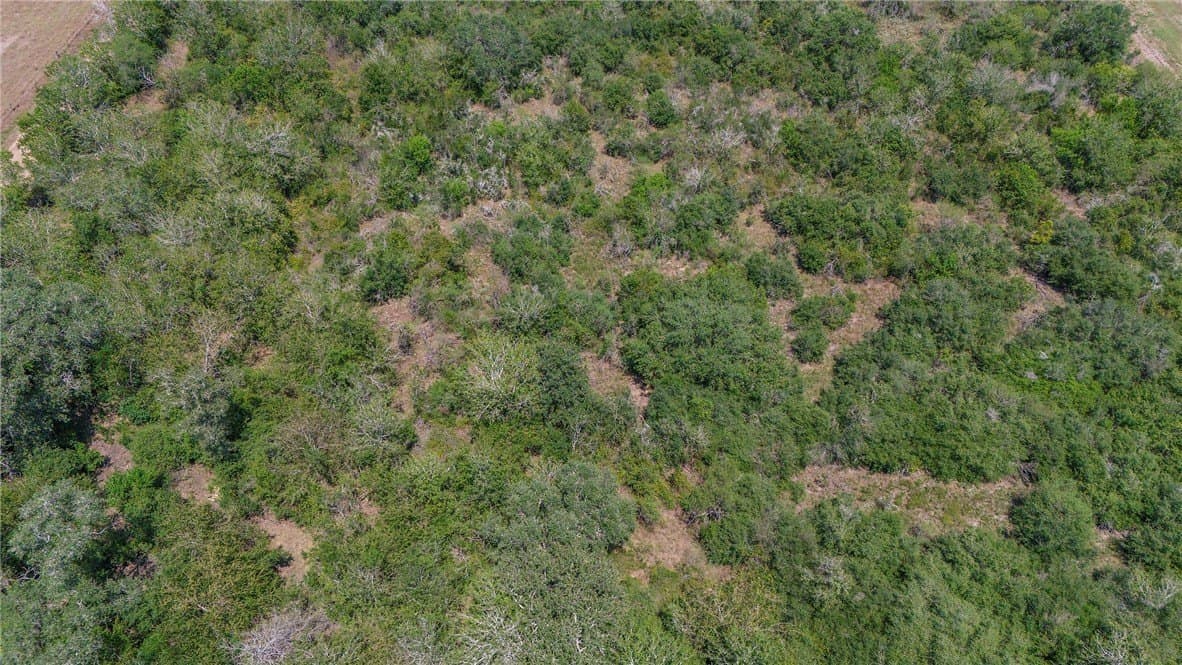 33.18 acres in DeWitt County - photo 8