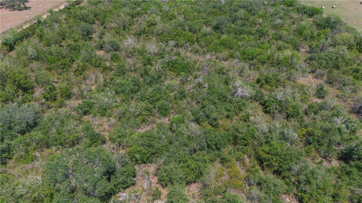 33.18 acres in DeWitt County - photo 9