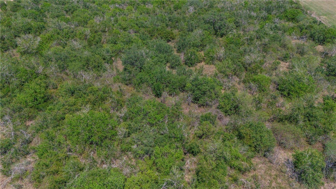 33.18 acres in DeWitt County - photo 10