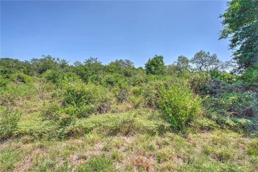33.18 acres in DeWitt County - photo 15