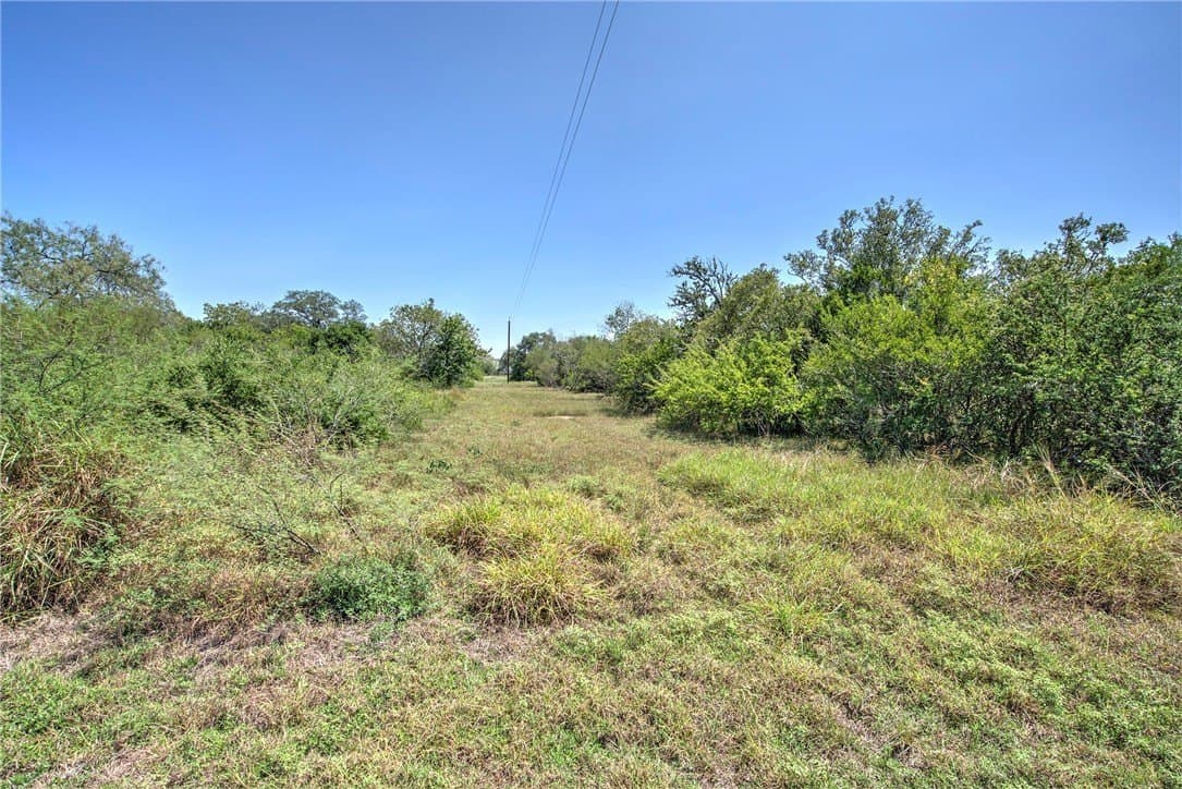 33.18 acres in DeWitt County - photo 14