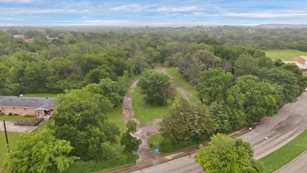 1.39 acres in Dallas County - photo 5