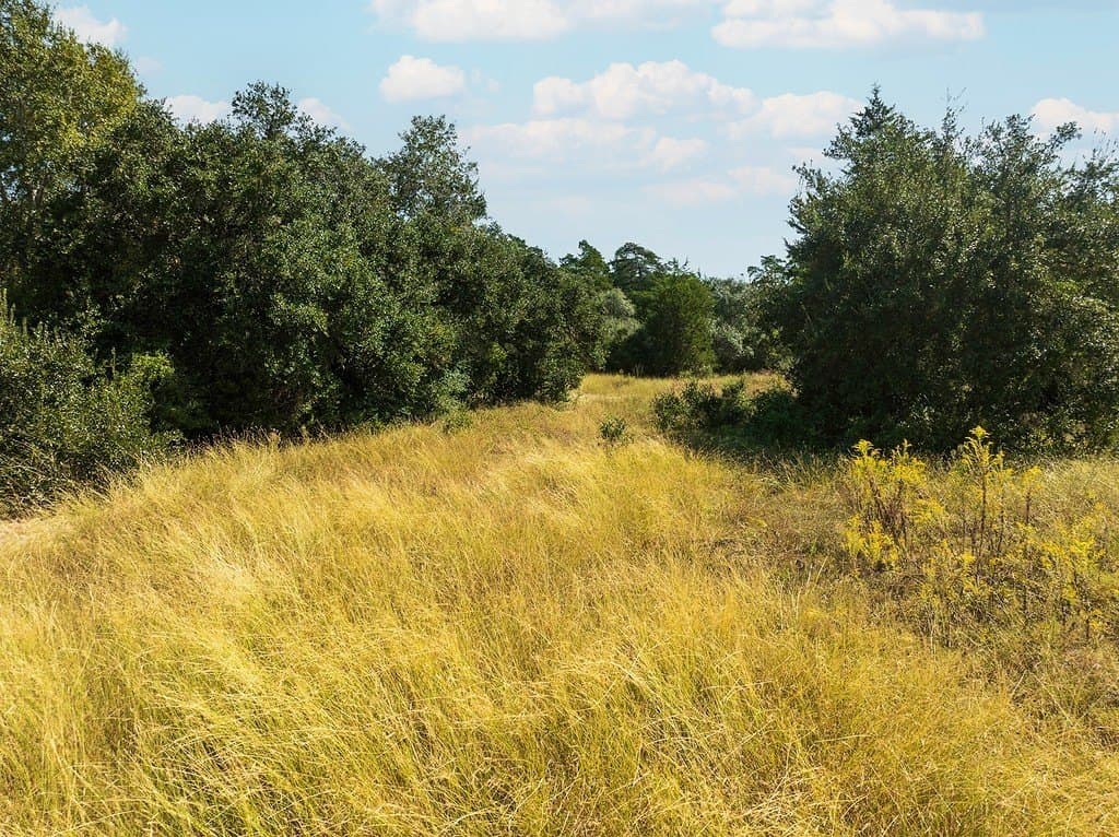 6.91 acres in Fayette County - photo 9
