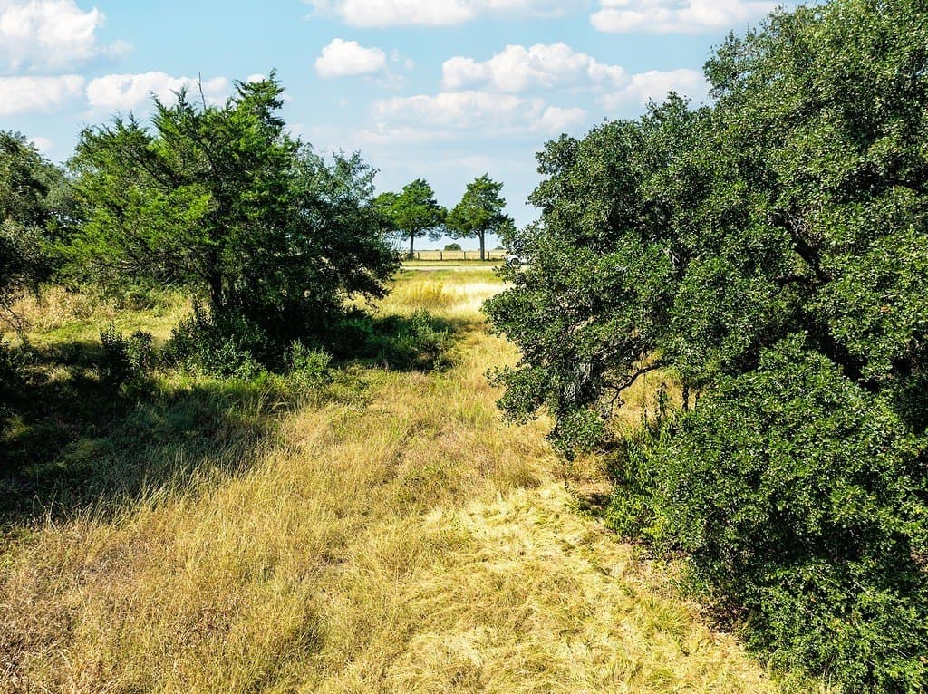 6.91 acres in Fayette County - photo 7