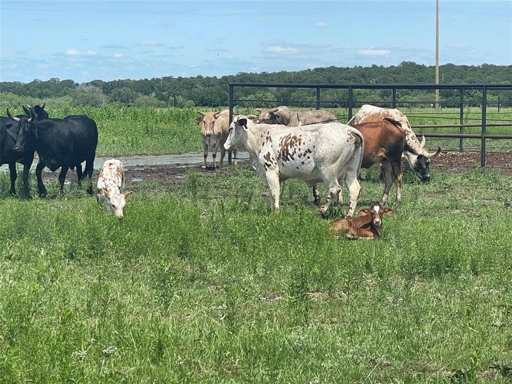 51.82 acres in Erath County - photo 12