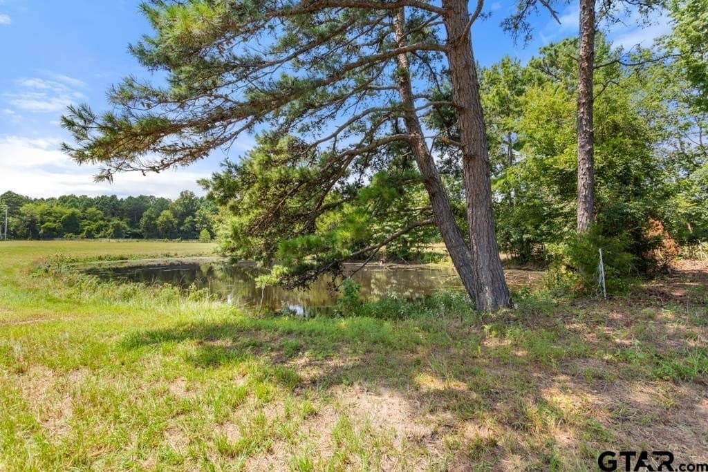 43.59 acres in Wood County - photo 6