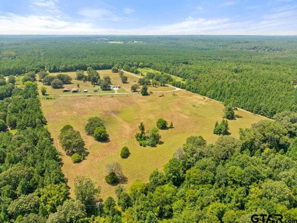43.59 acres in Wood County - photo 42