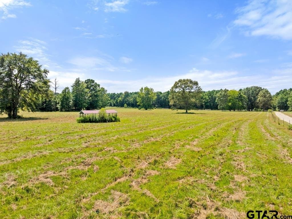43.59 acres in Wood County - photo 46