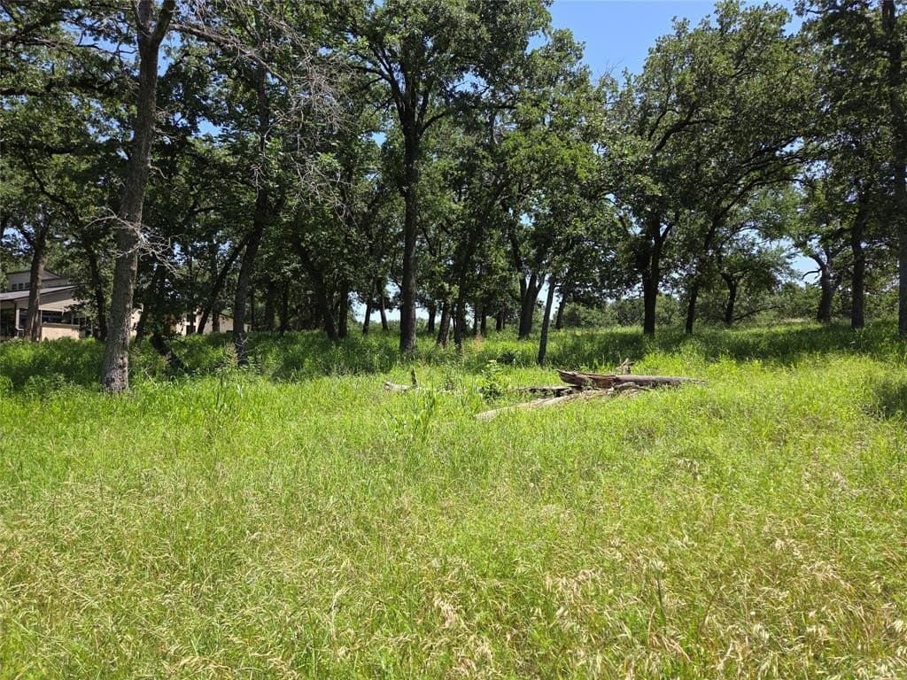 1 acres in Navarro County - photo 14