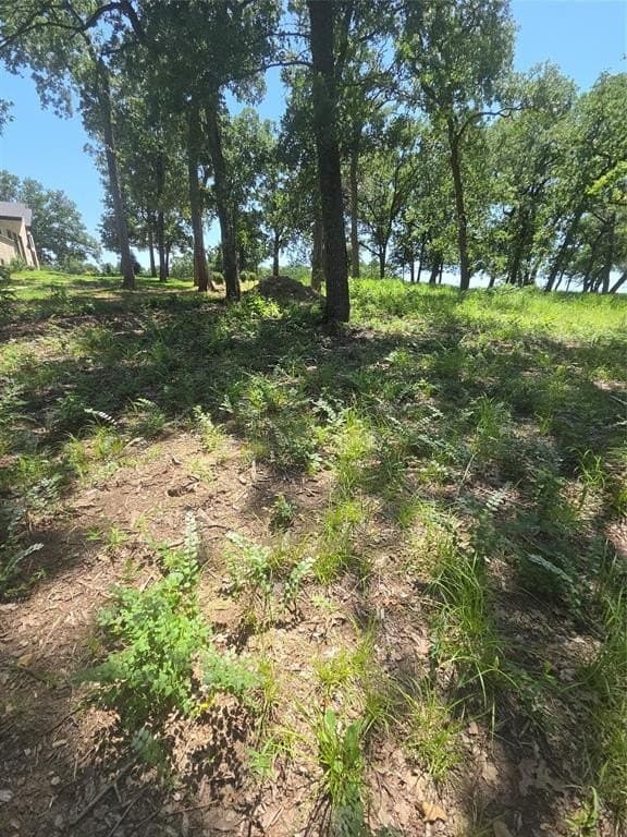 1 acres in Navarro County - photo 33
