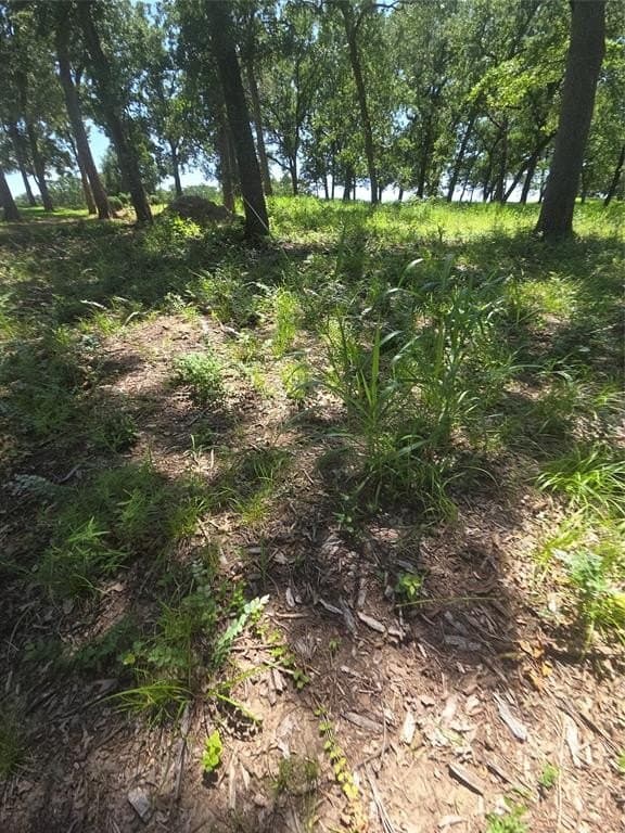1 acres in Navarro County - photo 32