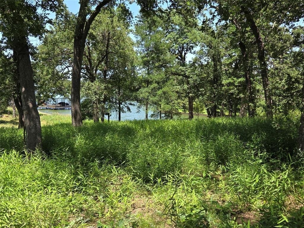 1 acres in Navarro County - photo 16