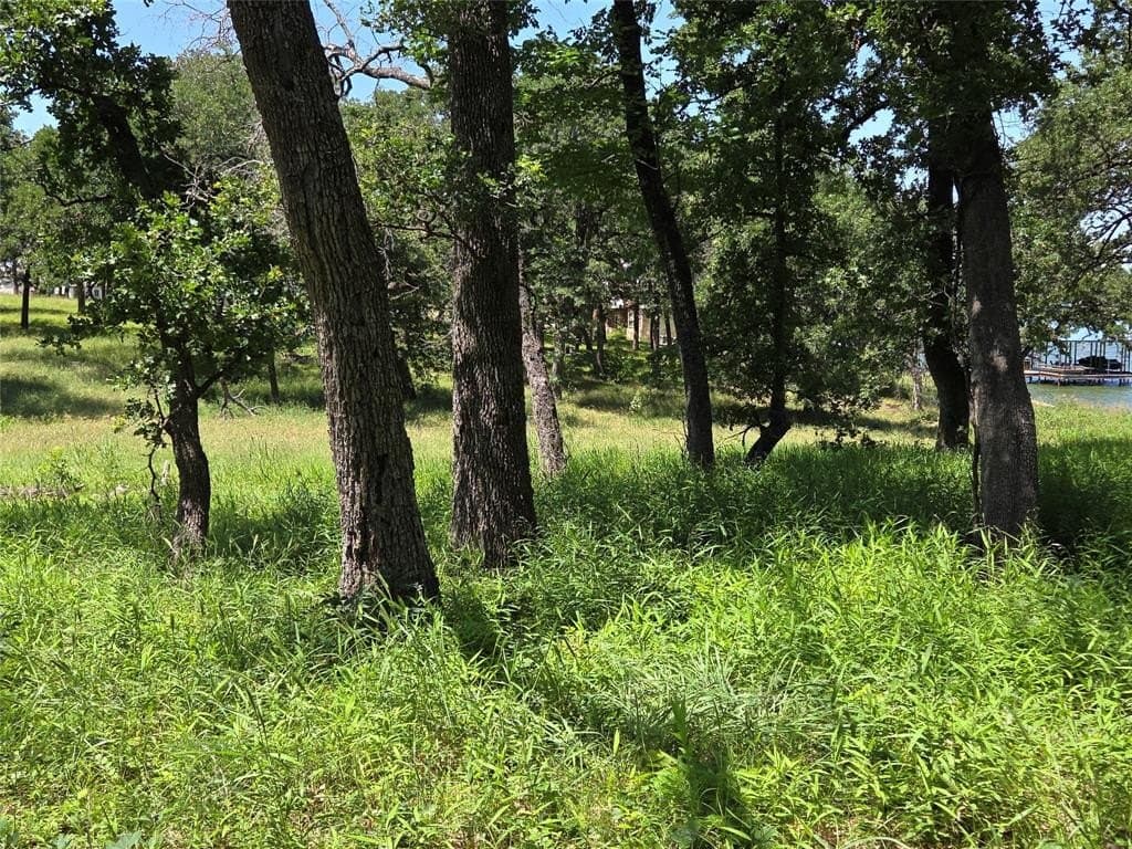 1 acres in Navarro County - photo 21