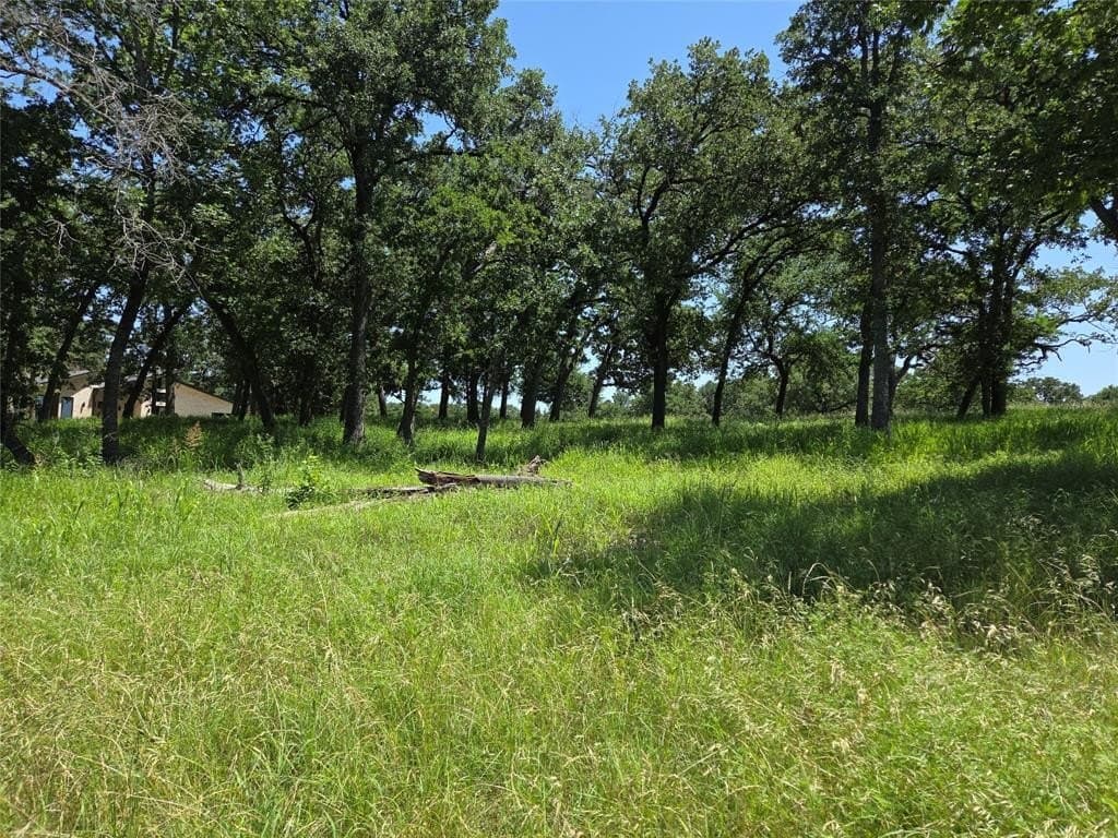 1 acres in Navarro County - photo 11