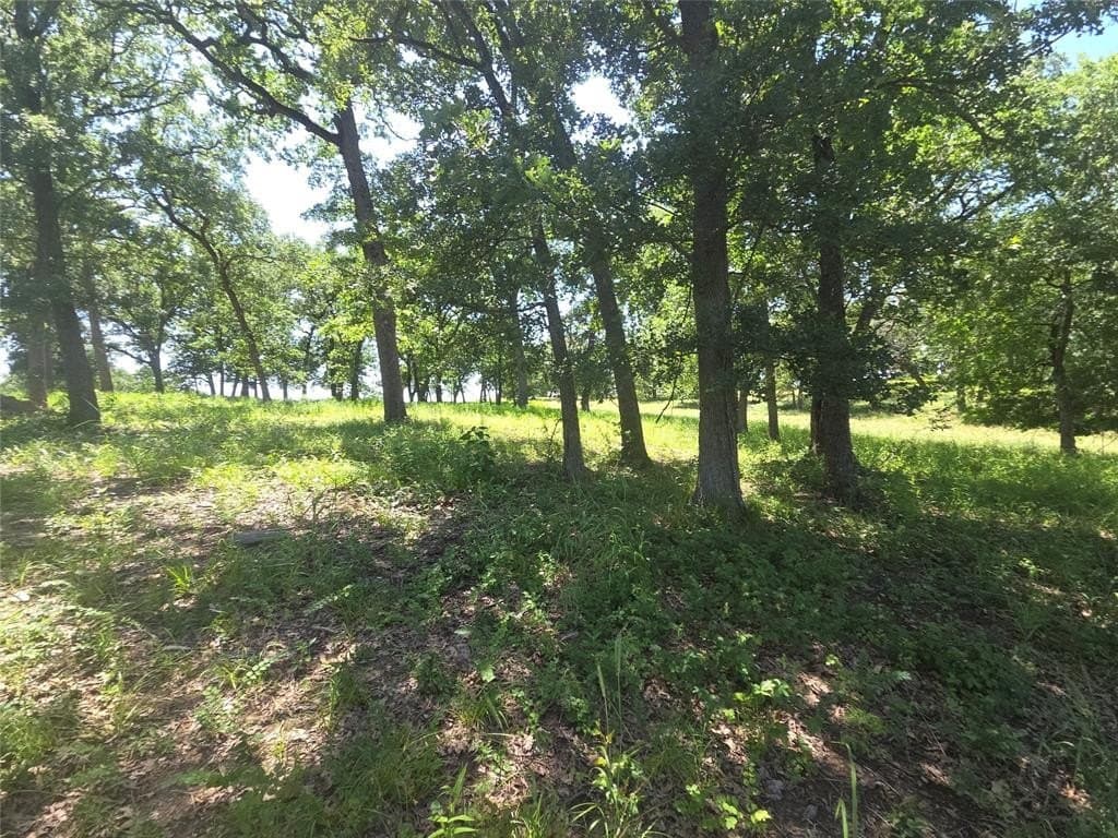 1 acres in Navarro County - photo 31