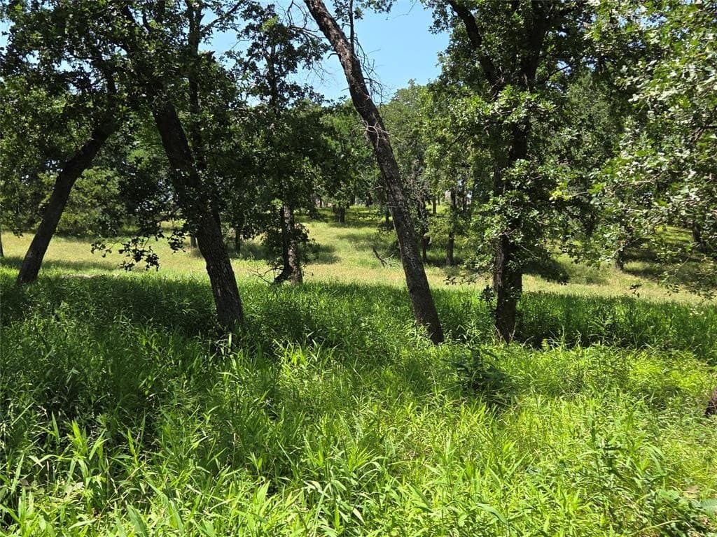 1 acres in Navarro County - photo 23
