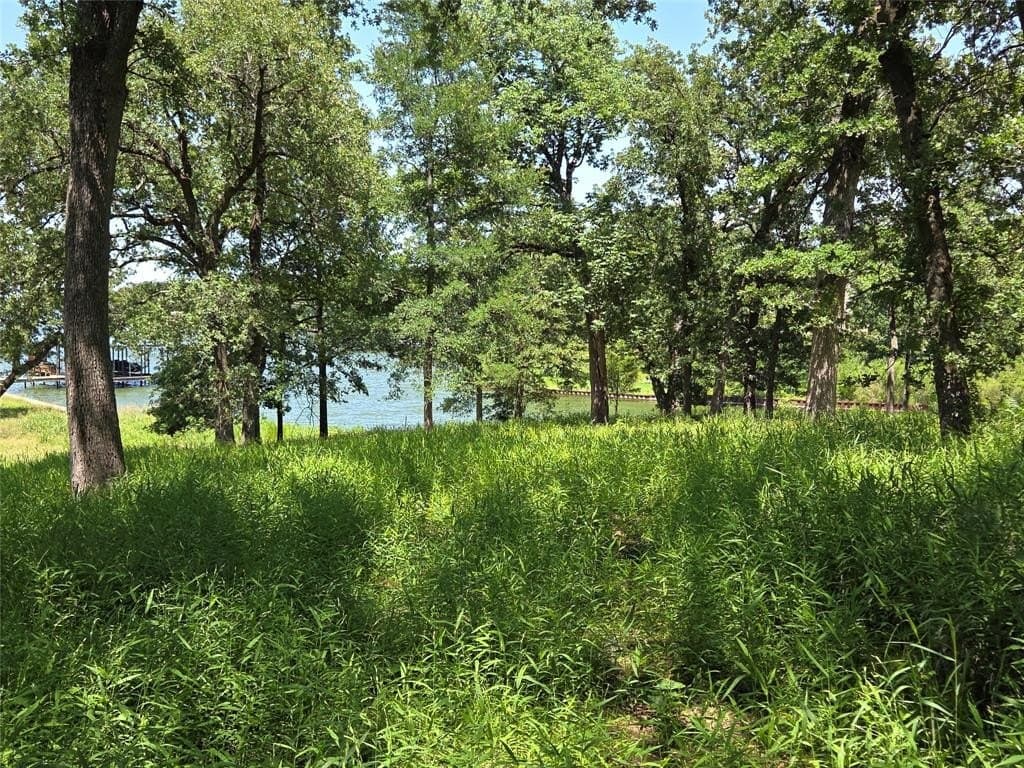 1 acres in Navarro County - photo 30