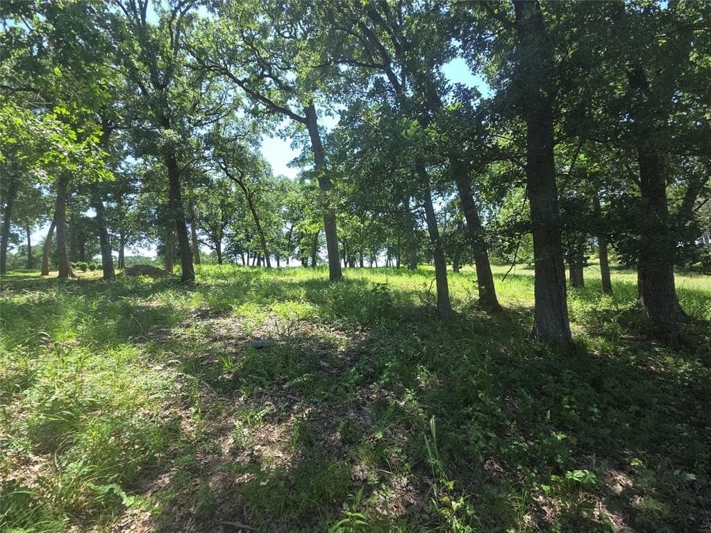 1 acres in Navarro County - photo 17