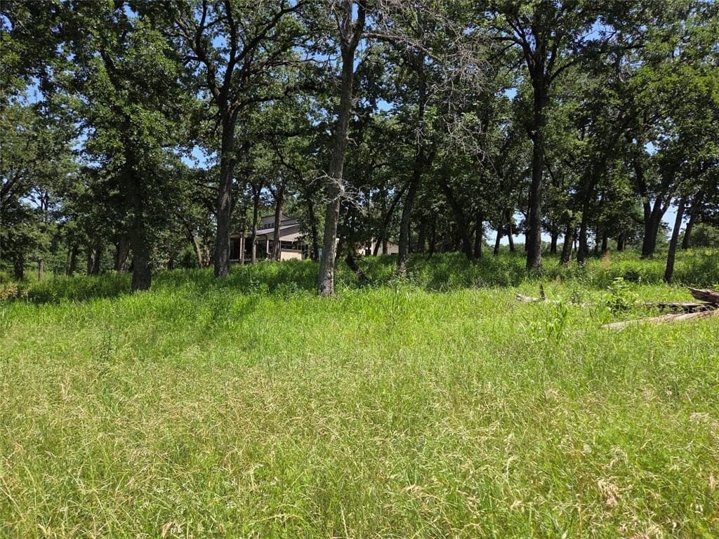 1 acres in Navarro County - photo 5