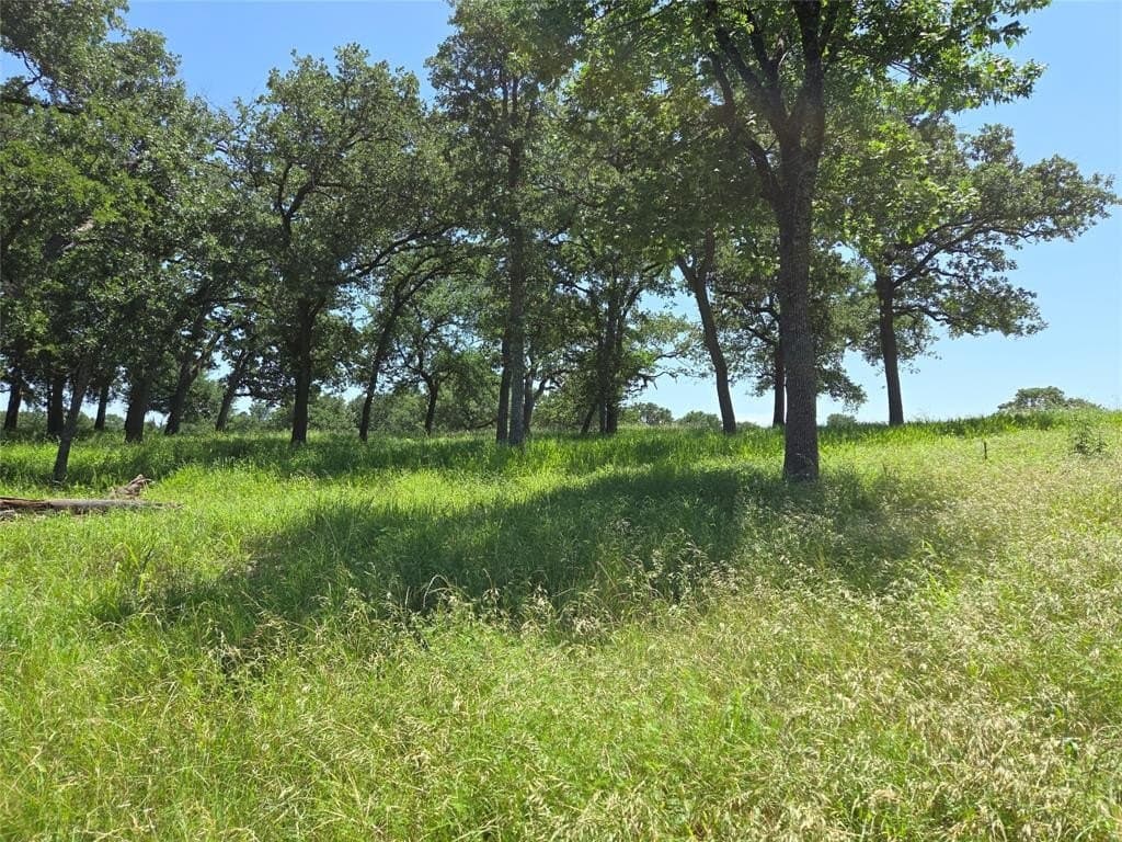 1 acres in Navarro County - photo 12