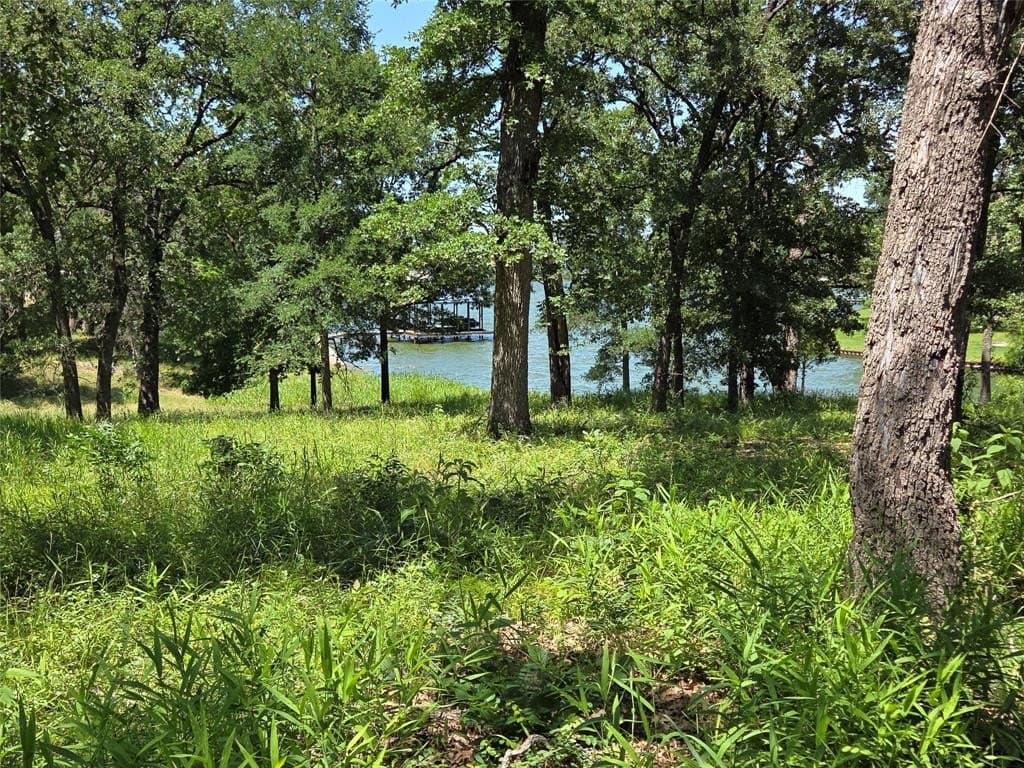 1 acres in Navarro County - photo 22