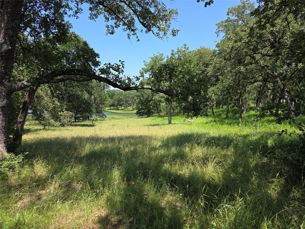 1 acres in Navarro County - photo 7