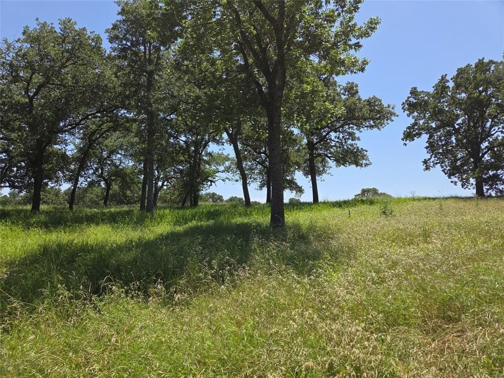 1 acres in Navarro County - photo 13