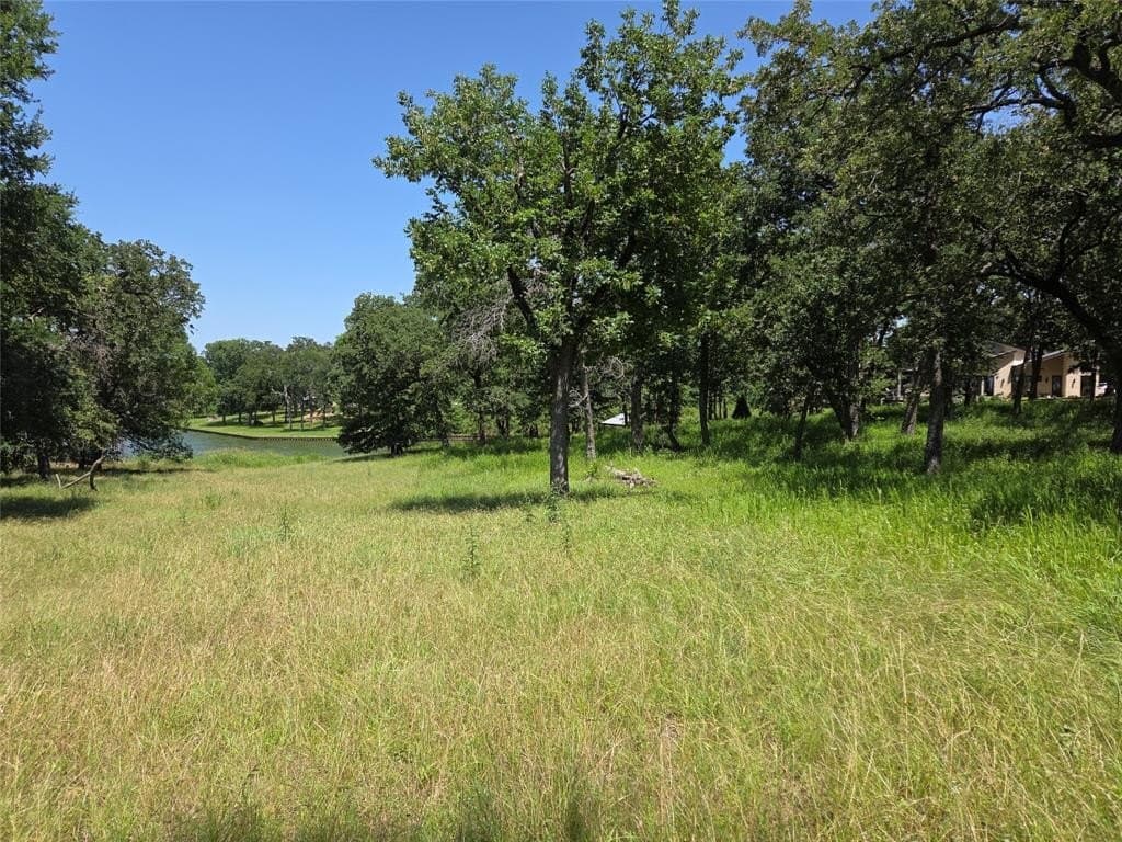 1 acres in Navarro County - photo 3