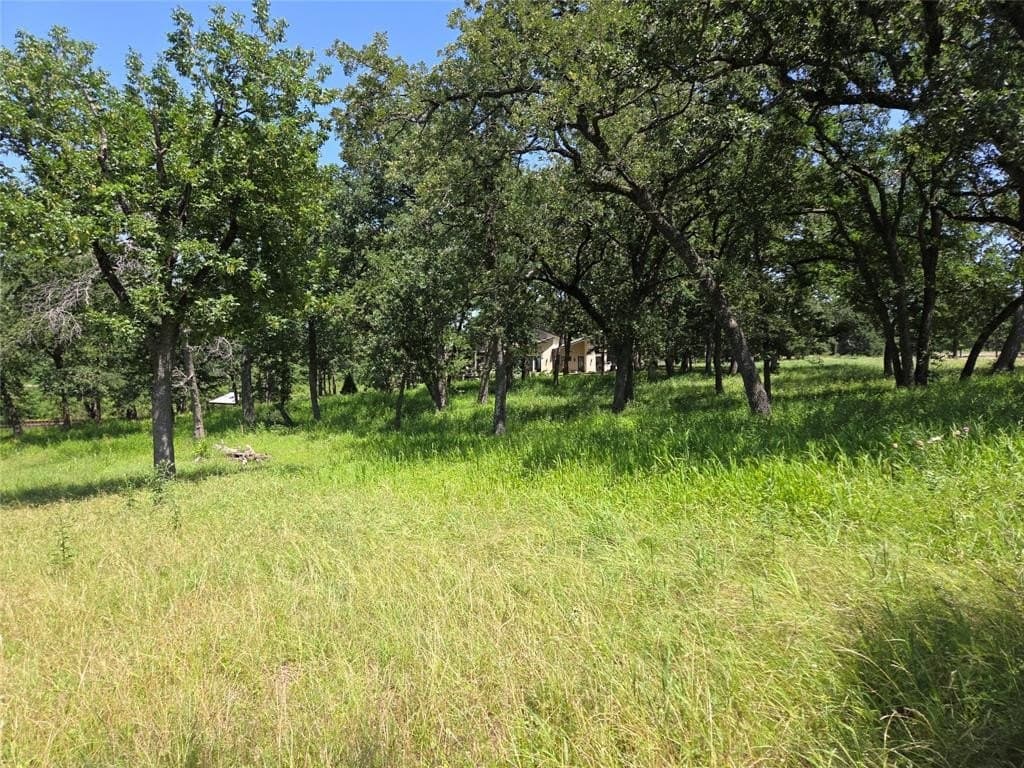 1 acres in Navarro County - photo 8