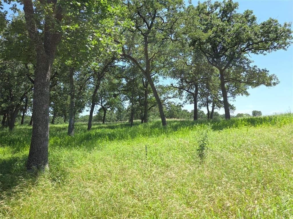 1 acres in Navarro County - photo 9