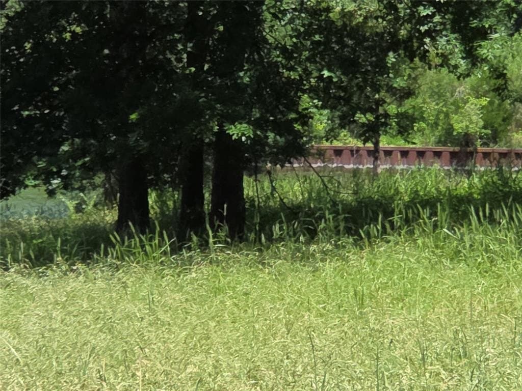1 acres in Navarro County - photo 29