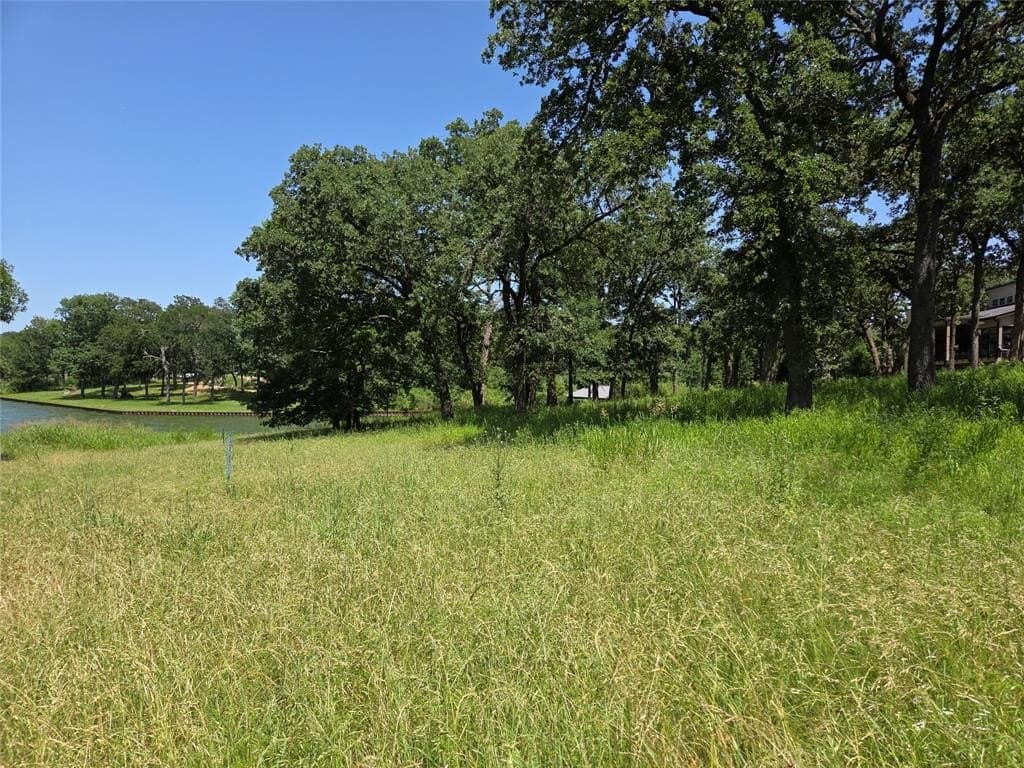 1 acres in Navarro County - photo 4